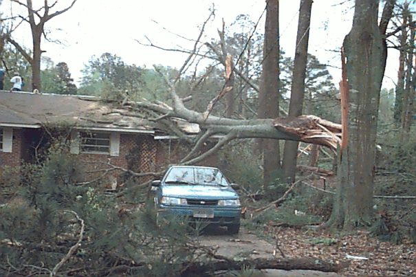 F0 tornado damage example